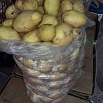 Картофель оптом от Производителя 12,50 грн./кг.