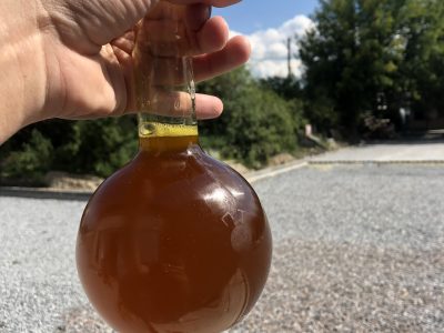 Соєва олія від виробника (нерафінована)