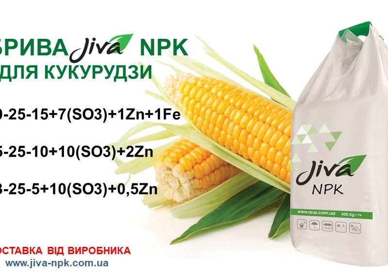 Комплексні мінеральні добрива JIVA для кукурудзи