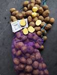 Продам картоплю з овочесховища від виробника.