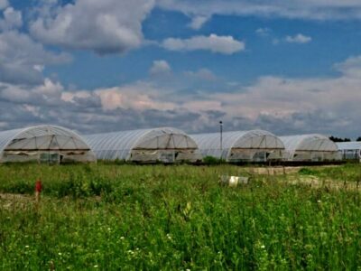 Продам тепличне господарство