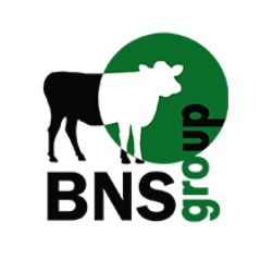 'BNS' Группа компаний