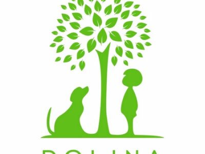 'DOLINA' Компанія