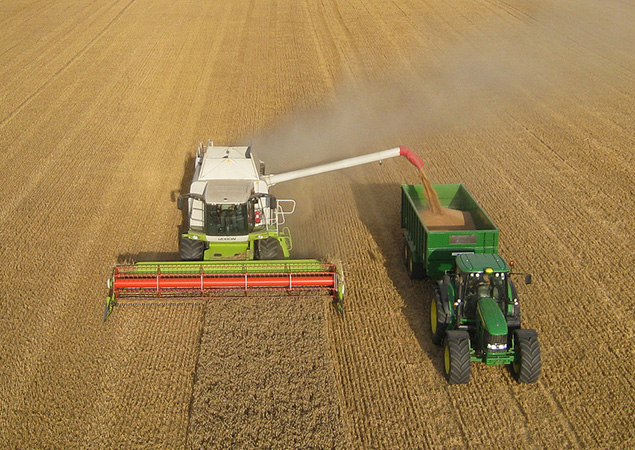 В ОАО «Туровщина» получили рекордную урожайность зерна