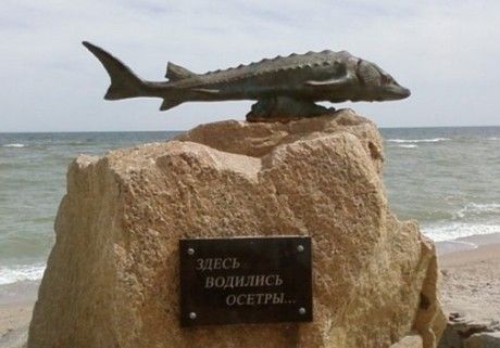 Минуле й сьогоднішнє риболовецької галузі на Азові