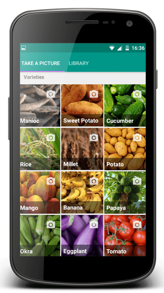 Приложение для смартфонов Plantix  помогает фермерам