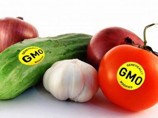 Интересности: 15 фактов о ГМО