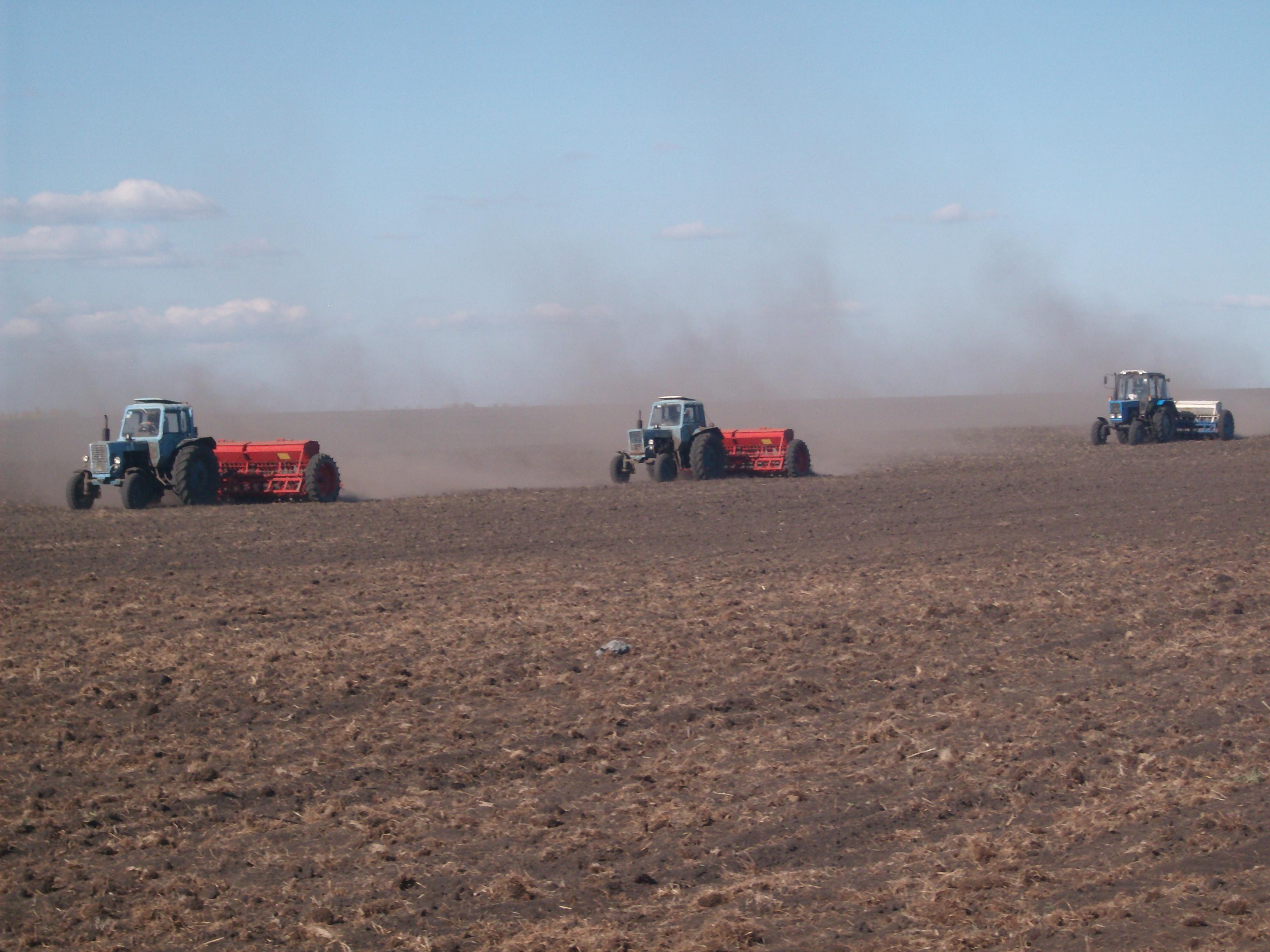 В Украине практически завершен сев ранних зерновых