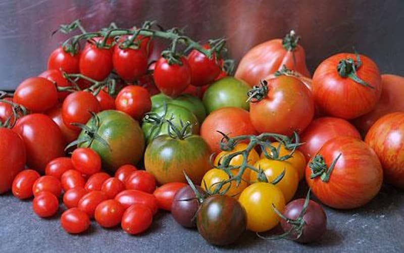 lll➤ Вкусные и оригинальные сорта томатов ⭐ вся актуальная информация насайте agrostory.com
