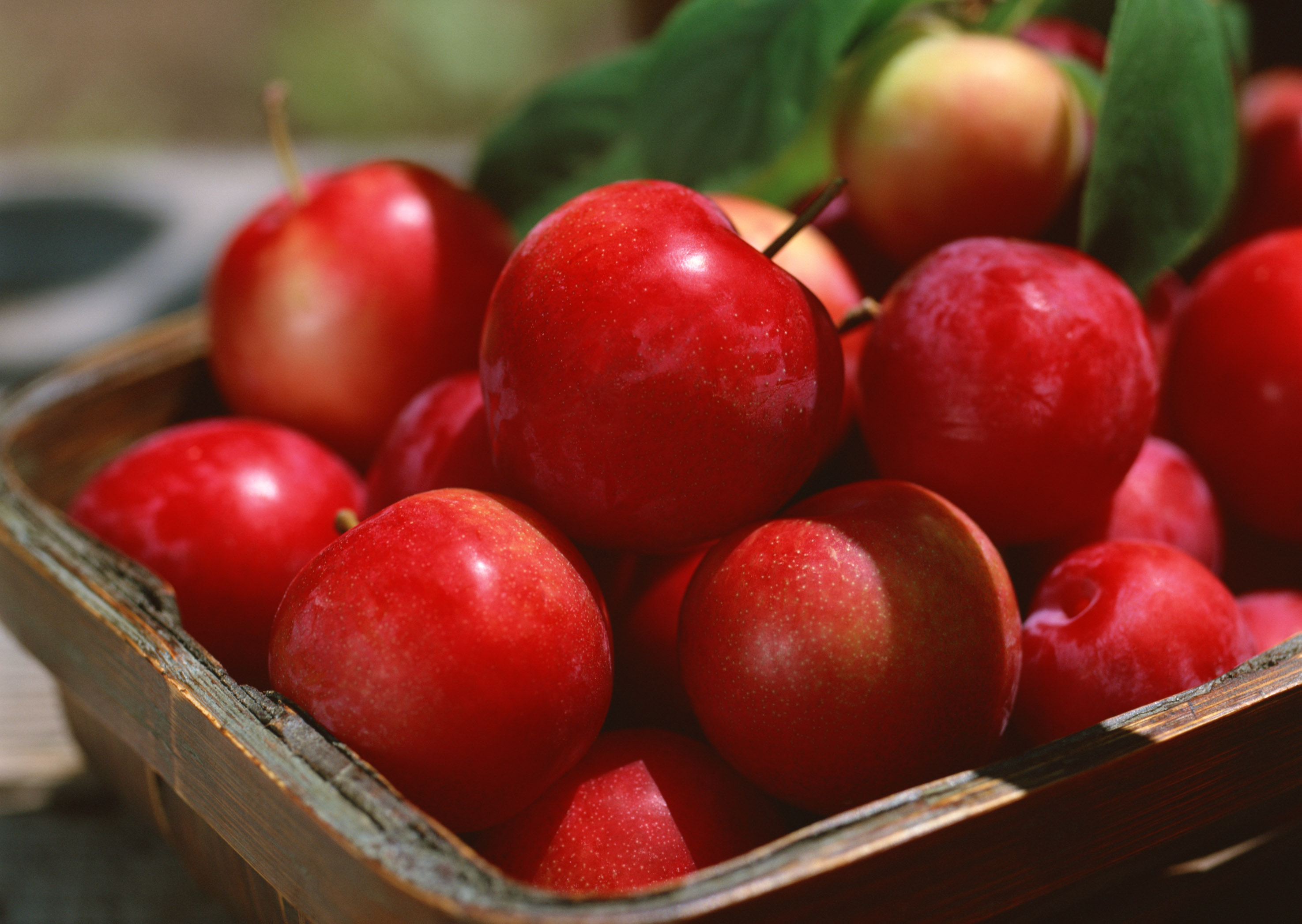 Украина наращивает экспорт яблок