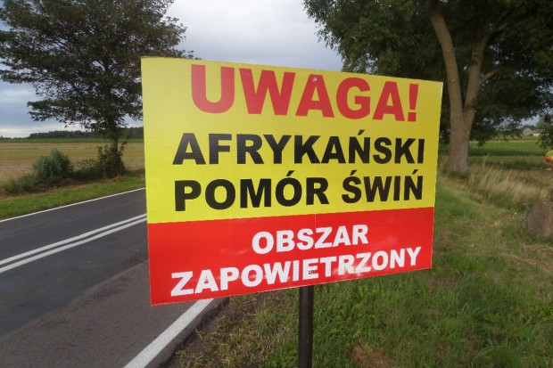 В связи с АЧС польская таможня усилила проверки на границах