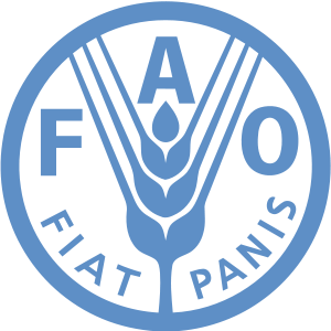 FAO поддержит внедрение почвозащитных технологий в Украине и Беларуси