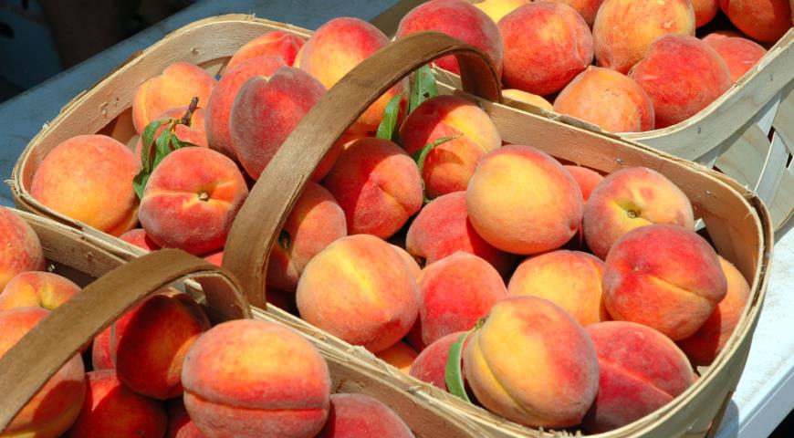 Украина увеличила импорт персиков