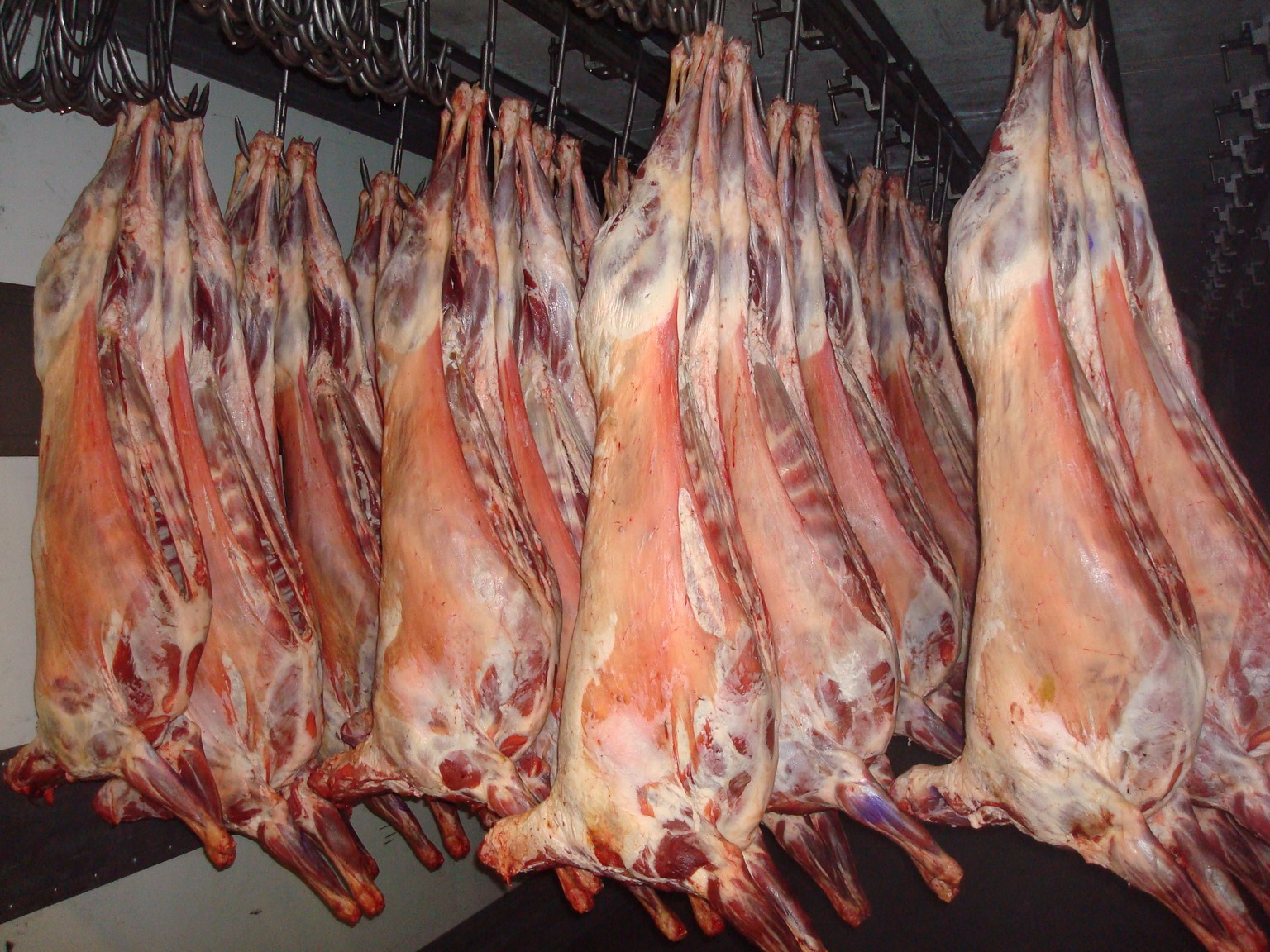 Южный Казахстан начал экспортировать мясо в Арабские Эмираты