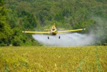 Госпотребслужба усилит контроль за пестицидами