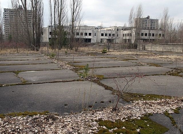 Порядка десяти компаний заинтересовались строительством солнечных электростанций в Чернобыле