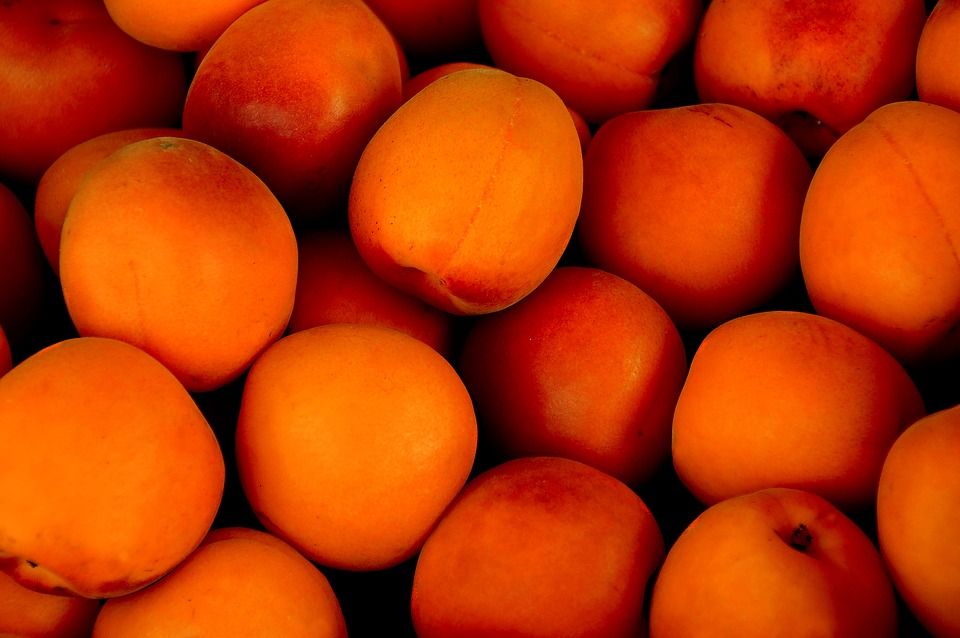 Украина в мае увеличила импорт персиков, абрикосов и нектаринов в 1,5 раза