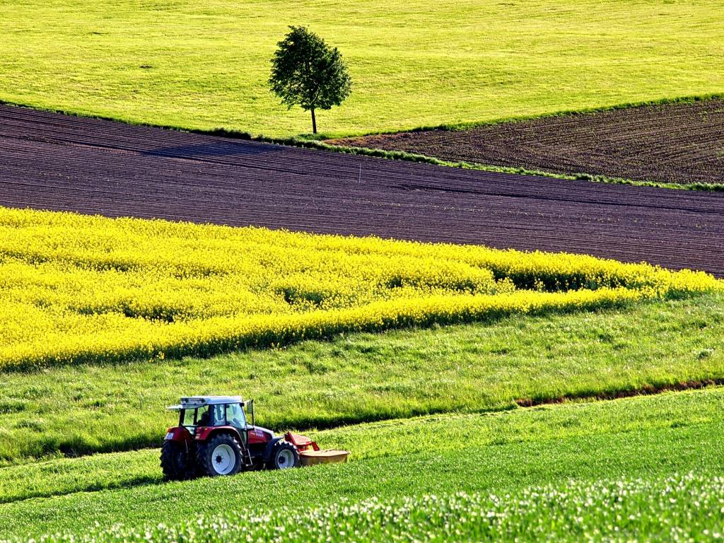 В Украине продано почти 40 тысяч гектаров земли сельхозназначения