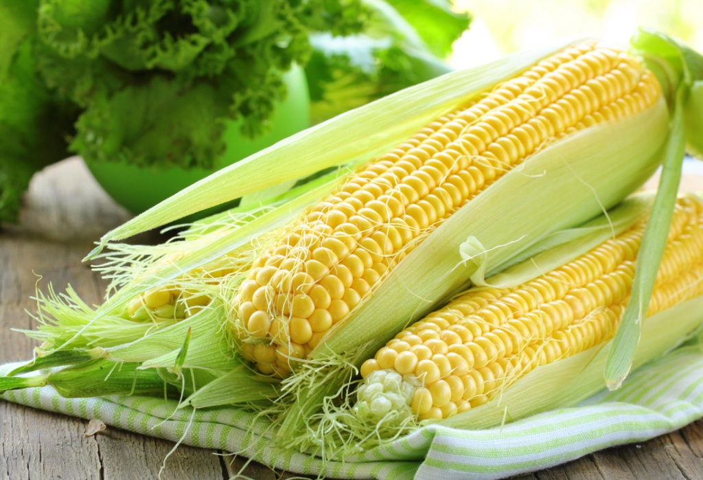 Аграрии собрали 4,7 млн тонн кукурузы