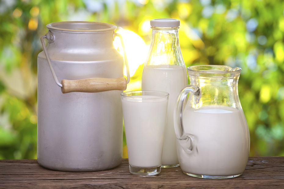 Какова окупаемость и эффективность работы пункта по приему молока в Казахстане?