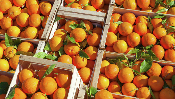 В Украине подешевеют апельсины в связи с очередным запретом России