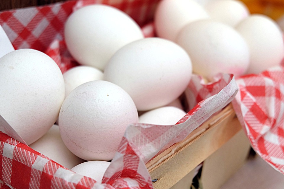 Украина экспортировала 80,2 тыс. тонн яиц 