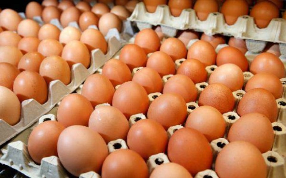Производство яиц в Украине увеличилось на 3,1% 