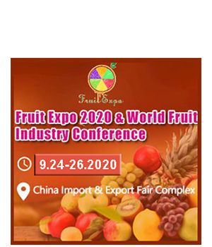 "Fruit Expo 2020" - Выставка фруктов и Всемирная конференция по фруктовой промышленности