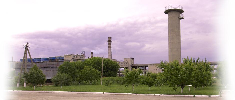 Из-за АЧС уникальный желатиновый завод в Лисичанске столкнулся с дефицитом сырья