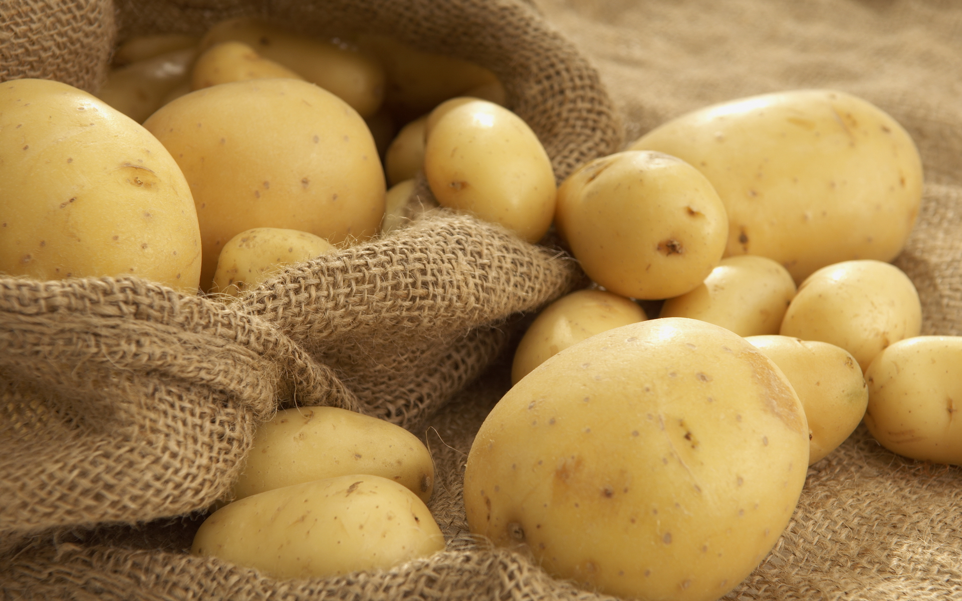 В Украине в 5,6 раз вырос импорт картофеля