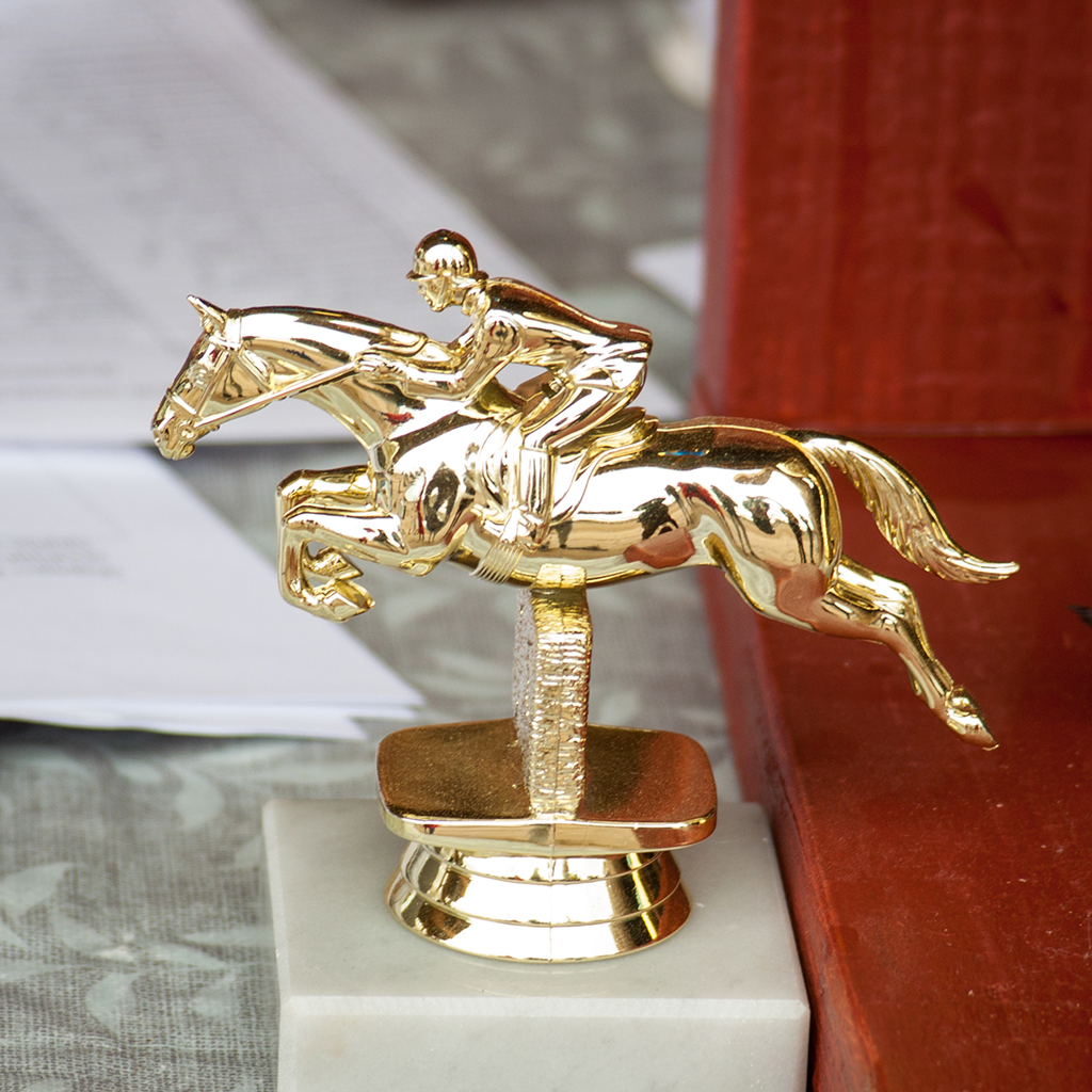 Праздник спорта и красоты: под Диканькой состоялись первые конные соревнования