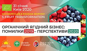Органический ягодный бизнес 2020