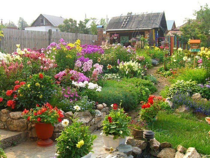 Самые ароматные растения для садово-огородного участка