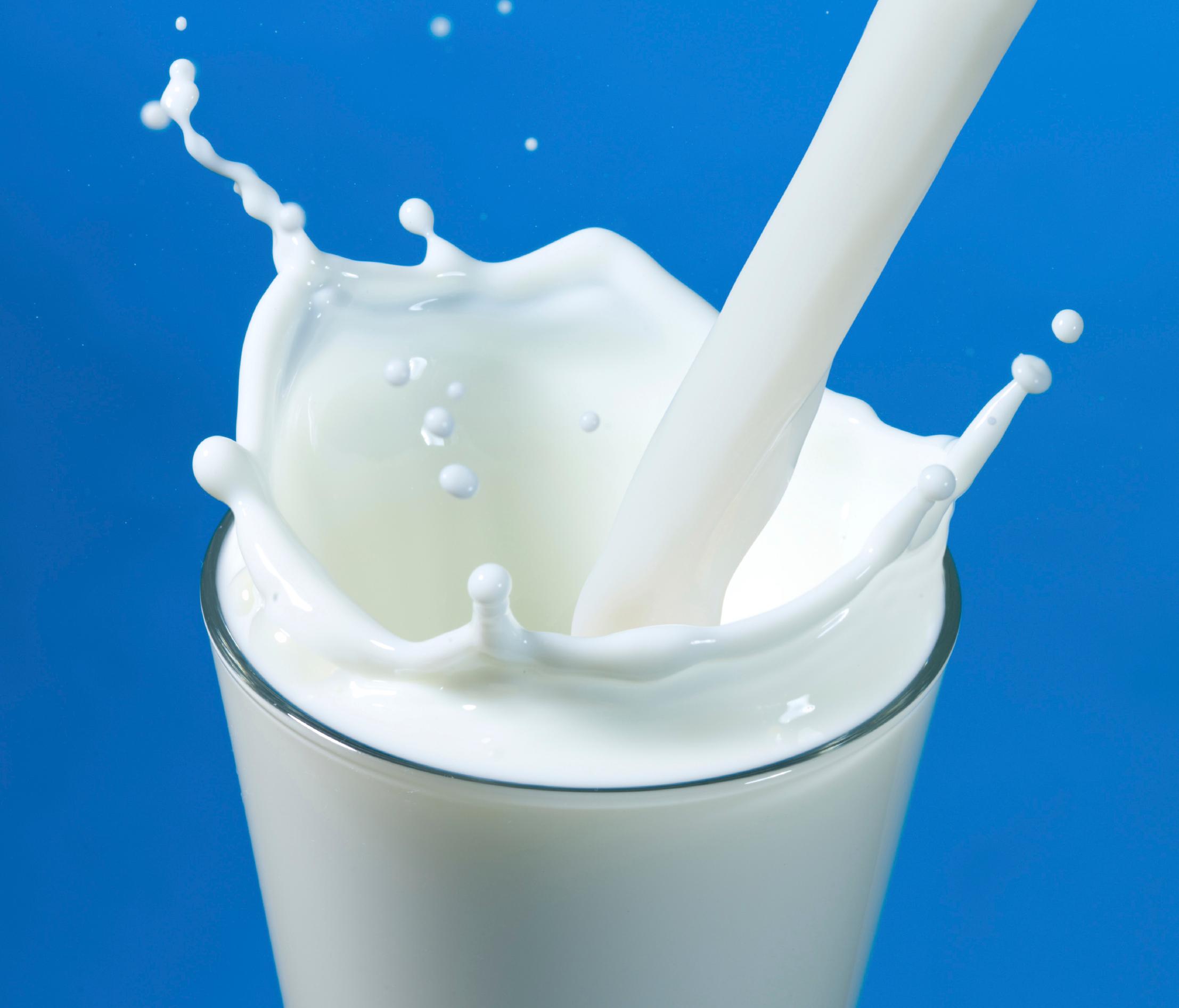 Интересности: почему молоко бывает вредным?