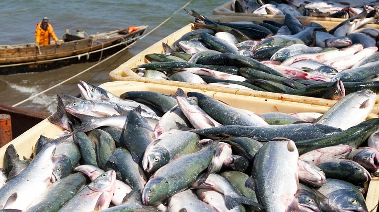 Зачем Украине рыбные торговые биржи