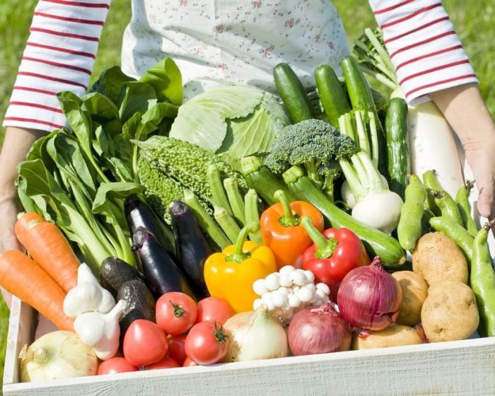 Картофель, овощи и зелень в Украине дорожают, а цитрусовые и бананы дешевеют