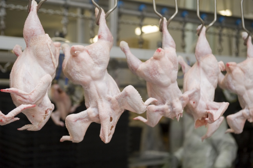 Промышленное производство мяса птицы выросло на 19.4%
