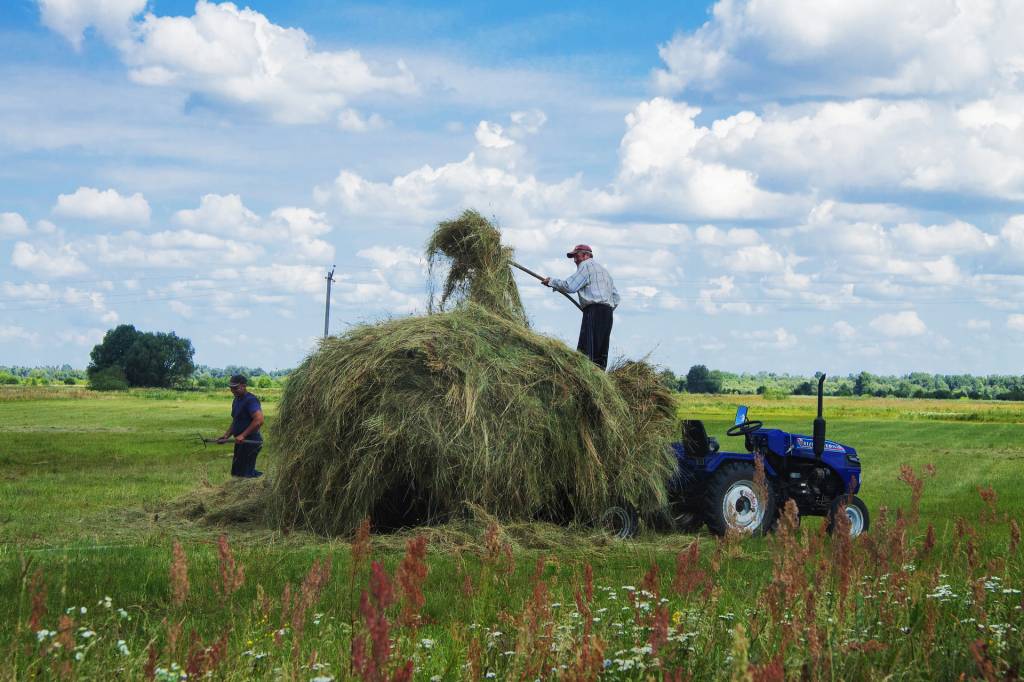 Українські фермери  зможуть отримати підтримку від USAID АГРО
