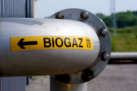 Немцы будут добывать биогаз в Полтавской области
