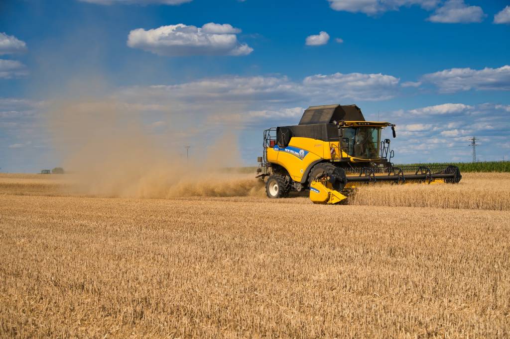 Пшеницу не убирали на 40% полей юга Одесской области
