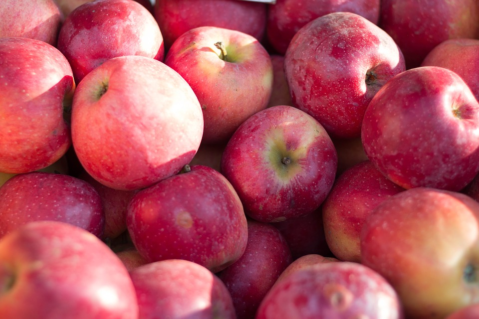 Эксперты дают надежду на рекордный урожай яблок в 2018 году