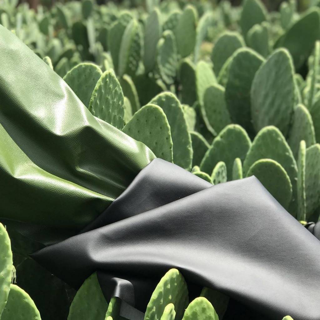 Мексиканские предприниматели создали органическую кожу из… кактусов