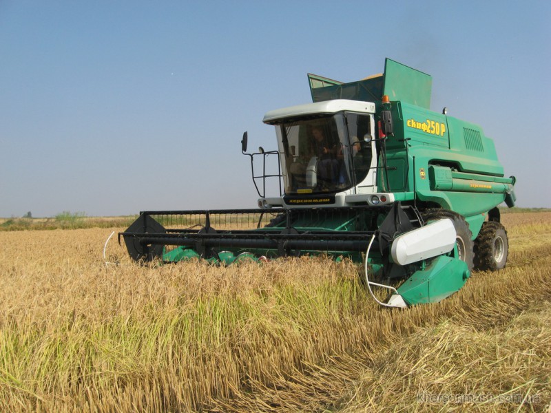 Украина: в Николаевской области завершается уборка ранних зерновых