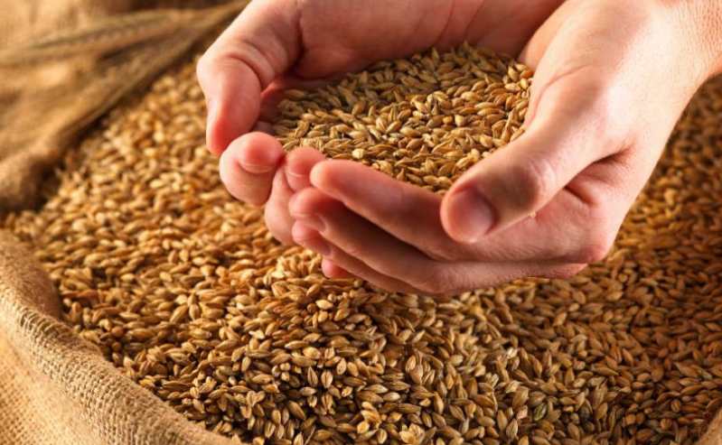 Госпродпотребслужба Украины призывает предпринимателей соблюдать технологию фумигации зерна