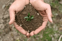 Основні типи ґрунтів України 