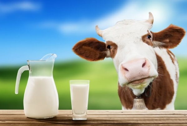 Качественное молоко: защищаем себя от грязи и подделок