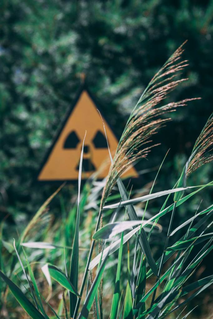 Житомирские ученые работают над возвращением в производство радиоактивно загрязненных почв