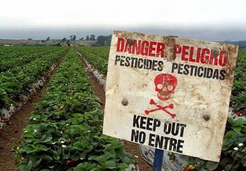 Украинские аграрии использовали меньше пестицидов, чем в прошлом году