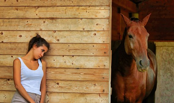 Розуміння основних фізіологічних потреб коня та їх задоволення