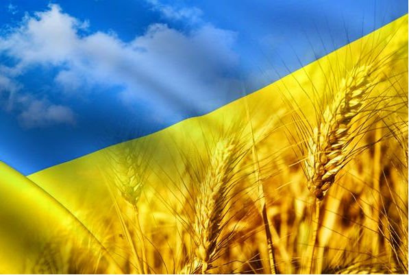 Интересности: 15 фактов об аграрной Украине